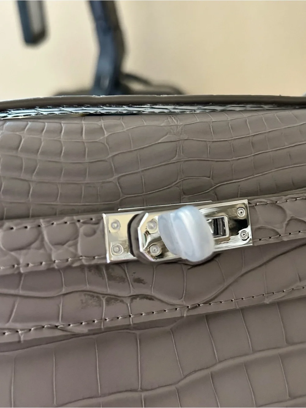 22cm Etaupe Croc-Embossed Leather Pochette